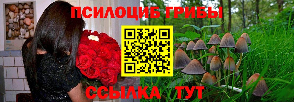 купить наркотики сайты  Галлюциногенные грибы GOLDEN TEACHER  Вход с VPN  Галлюциногенные грибы прущие грибы  Миасс 